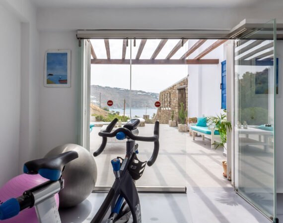 archon luxury villa mykonos gym